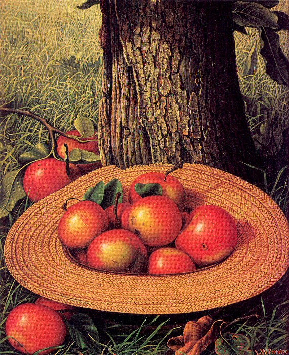 Apples, Hat, and Tree