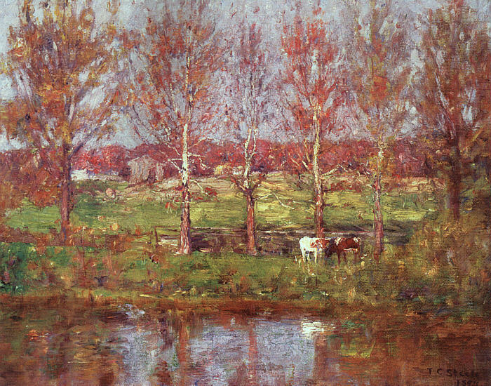 Cows by the Stream